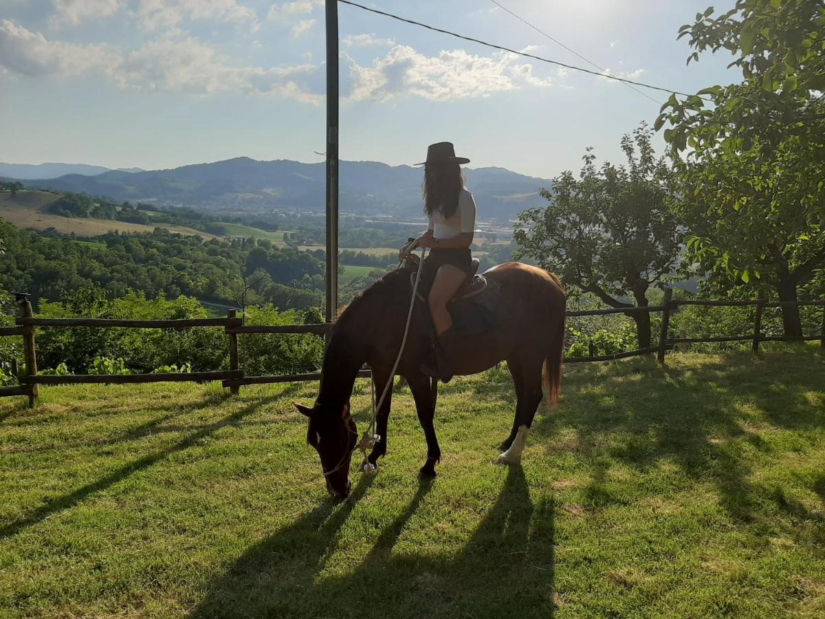Holidays Cà tassino Urbino Esterno foto