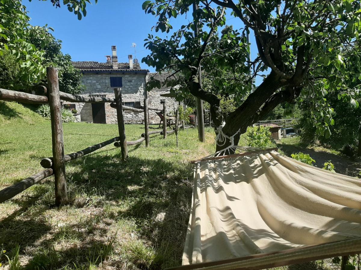 Holidays Cà tassino Urbino Esterno foto
